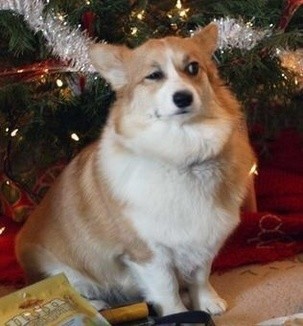 If those women supposed to be the finnish women, they don't look even remotely Finnish